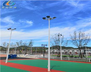 延安學(xué)校路燈照明項(xiàng)目